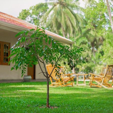 King Reach Hotel Anuradhapura Bagian luar foto