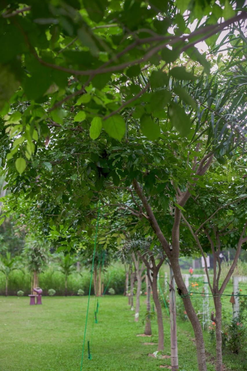 King Reach Hotel Anuradhapura Bagian luar foto