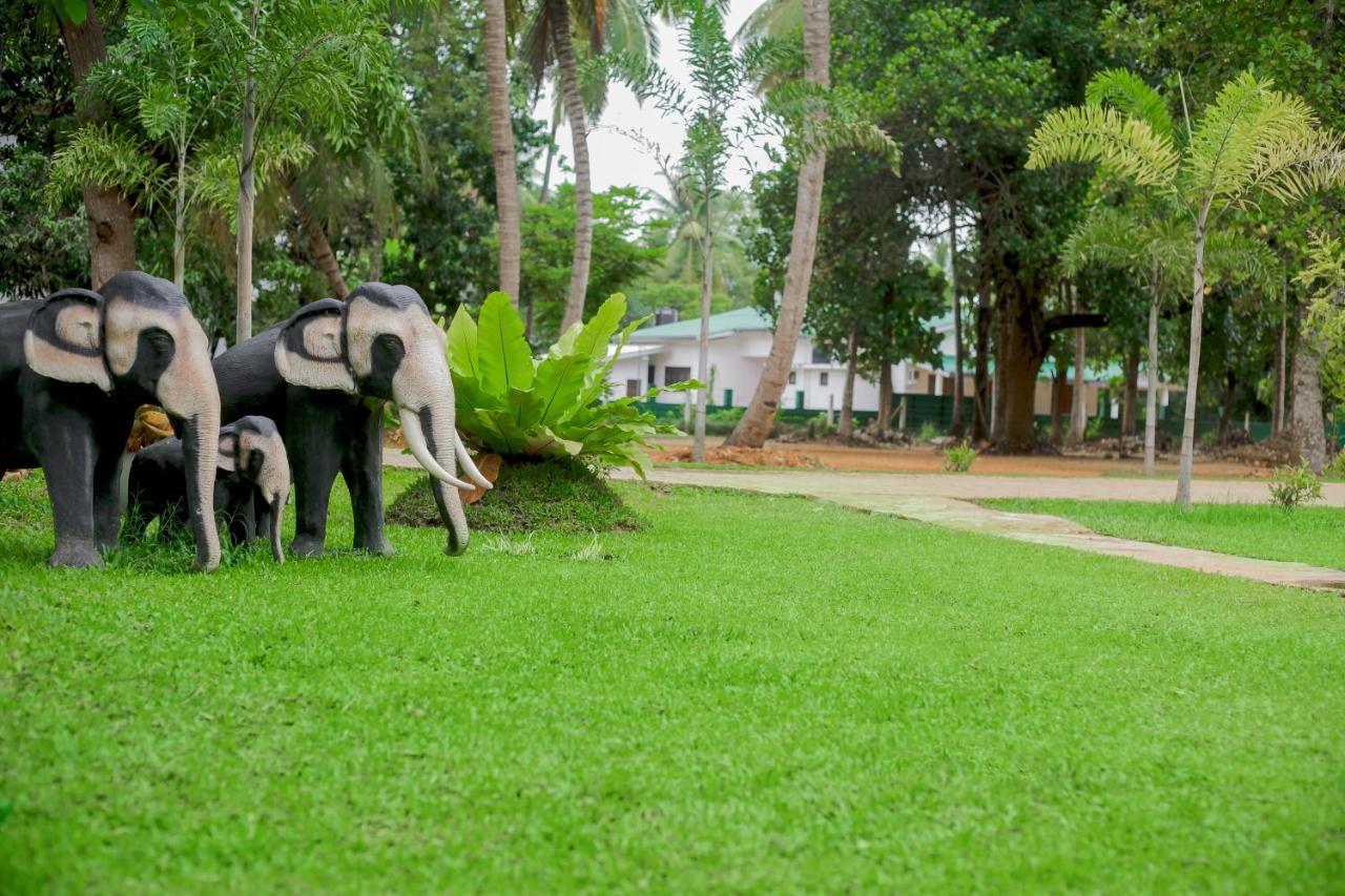 King Reach Hotel Anuradhapura Bagian luar foto