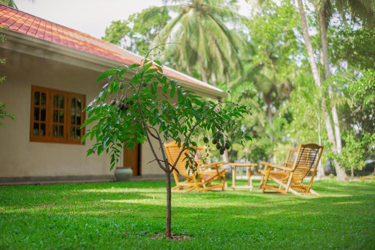 King Reach Hotel Anuradhapura Bagian luar foto